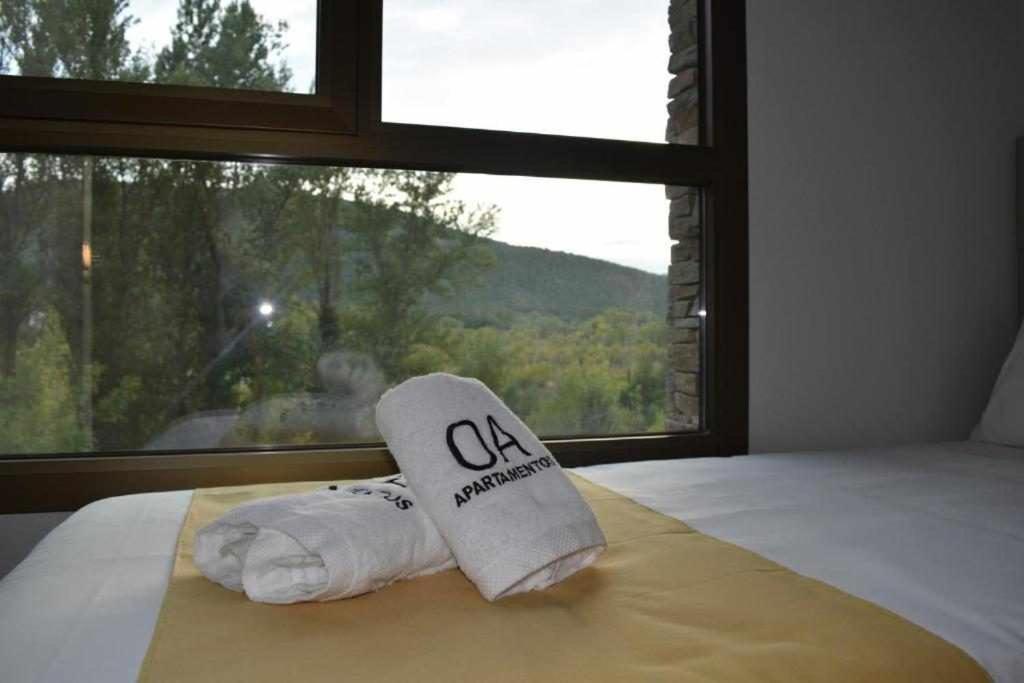 Apartamentos Ordesa Aínsa Zimmer foto